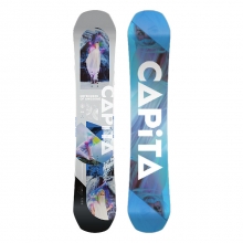 2223 Capita Defenders Of Awesome Wide Snowboard - 163 (캐피타 디펜더스 오브 어썸 와이드 스노우보드 데크)