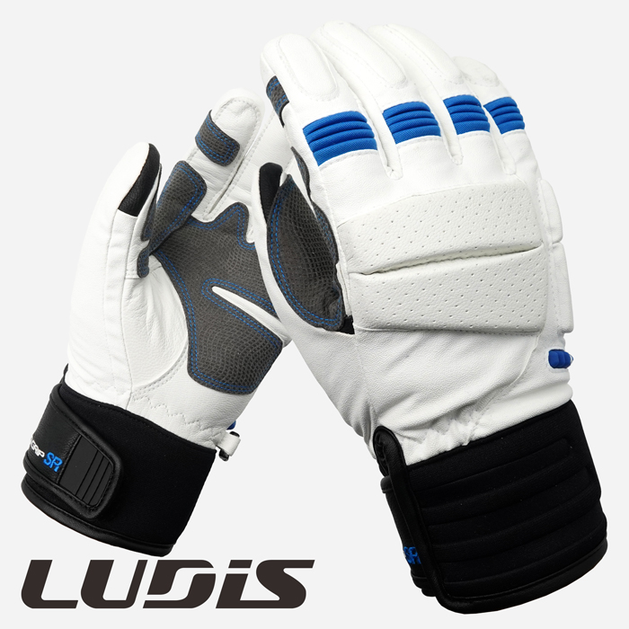2223 Ludis Pro Grip SR Glove - White/Blue (루디스 프로그립 에스알 스노우보드 장갑)