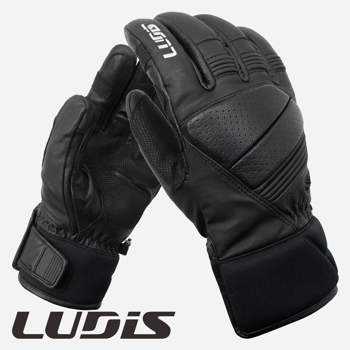 2223 Ludis Demo Grip Glove - Black (루디스 데모 그립 스노우보드 장갑)